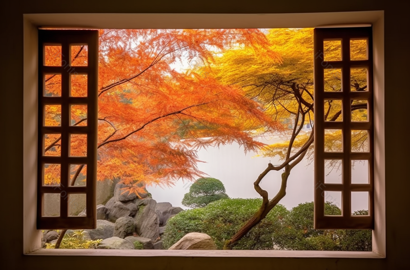 中国杭州绚丽多彩的秋景从窗户口望向室外园林枫树树木秋天的景色图像摄影,高清,摄影图,摄影图片,图片大全,摄影图免费下载